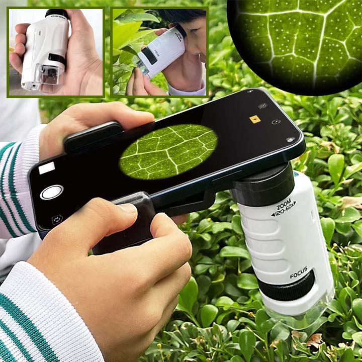 Microscope Compact pour Jeunes Curieux