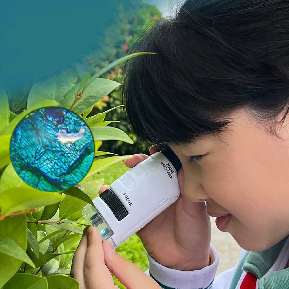 Microscope Compact pour Jeunes Curieux